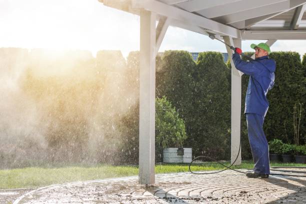 Best Rust Removal  in Rock Valley, IA
